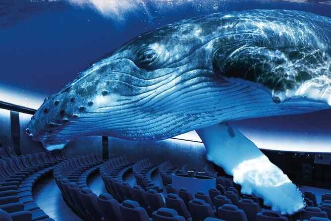 Ticket Palma Aquarium