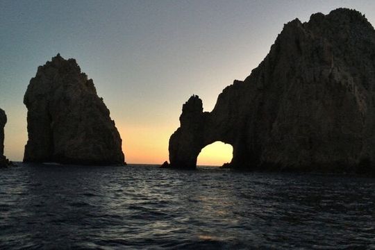 Sunset Whale Cruise in Cabo San Lucas