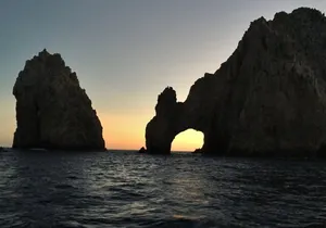 Sunset Whale Cruise in Cabo San Lucas