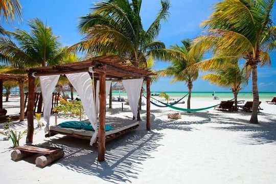 Full-Day Guided Tour to Isla Holbox from Cancun