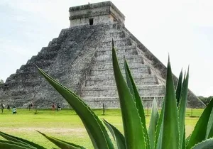 Coba and Chichen Itza Private Tour and, Cenote
