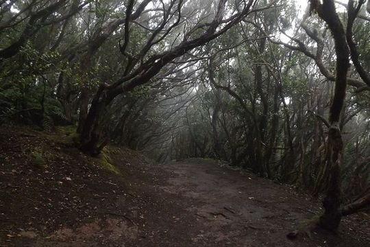 Night of Fear route Walking Tour