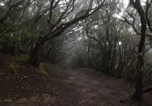 Night of Fear route Walking Tour