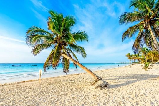 Cenotes & Lagoon in One Day from Playa del Carmen & Riviera Maya