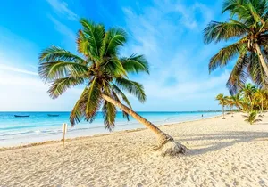 Cenotes & Lagoon in One Day from Playa del Carmen & Riviera Maya