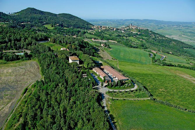 Wine tasting and guided tour of the cellar