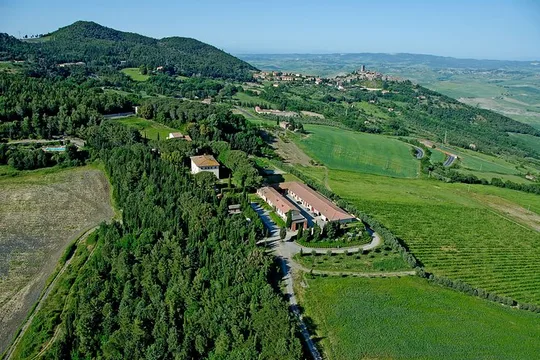 Wine tasting and guided tour of the cellar