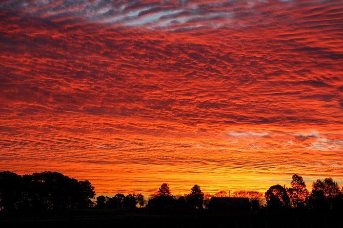 Private full-day wine tour in the Hunter Valley