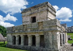 Private Tour: Tulum swimming with turtles and wild cenote in jungle