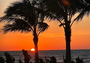 Naples Famous Sunset Tour -Trike Tour at Sunset All Ages Electric