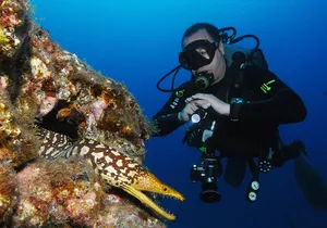 Guided Boat Dives for Certified Divers