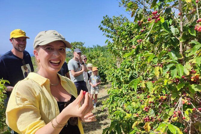 Guided Tour to the only coffee farm in Europe