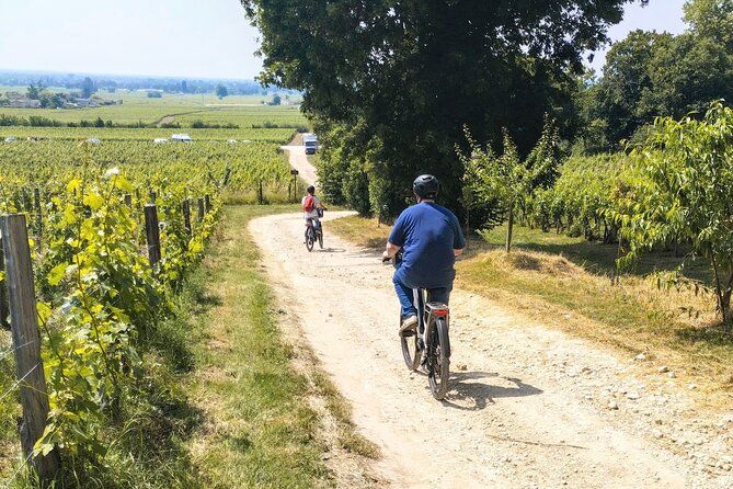 E-bike trip : From Bordeaux to Saint-Emilion with picnic lunch
