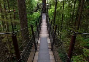 Private Grouse Mountain and Capilano Park Tour in Vancouver