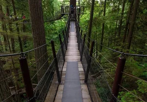 Private Grouse Mountain and Capilano Park Tour in Vancouver