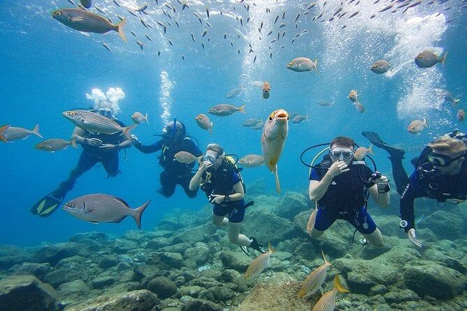 Discover Scuba Diving Adventure in Tenerife