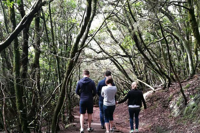 Anaga Mountains Hiking Tour in Tenerife
