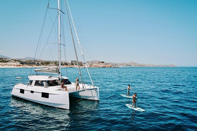 Los Cabos Seasonal Whale Watch and Snorkel Tour