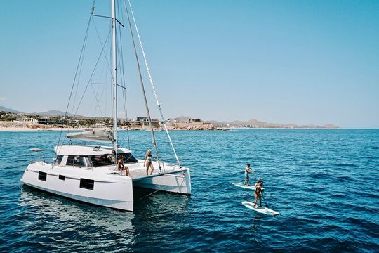 Snorkel and Whale Platinum Tour (Dec 15- Apr 15)