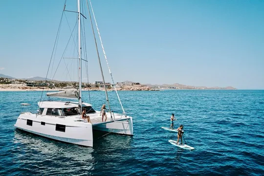 Los Cabos Seasonal Whale Watch and Snorkel Tour
