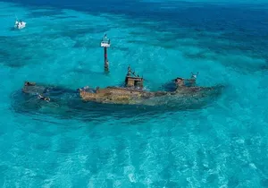 Cancun Snorkeling Adventure: Turtles, Reefs & Underwater Wonders