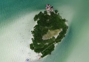 Full Day Excursion to the Best of Holbox From Riviera Maya