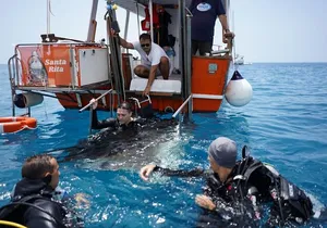 3-Hours Private Tour to Accessible Boat en Canary Island