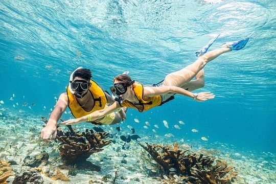 Cancun Adventure: Reef Snorkeling & Parasailing Experience