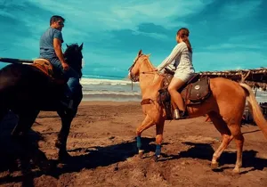 Horse Back Riding And Baby Turtle Camp Visit