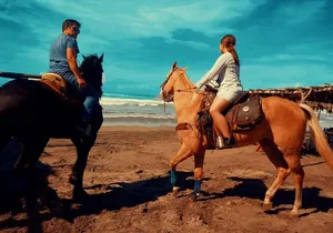 Horse Back Riding And Baby Turtle Camp Visit