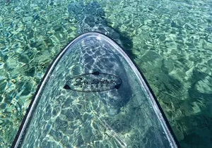 Manatees, Monkeys and Florida Natural Spring Adventure Tour