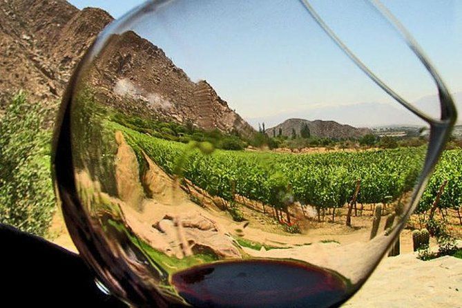 Ensenada Shore Excursion: Wine and Cheese Tour with Lunch in Ojos Negros Valley