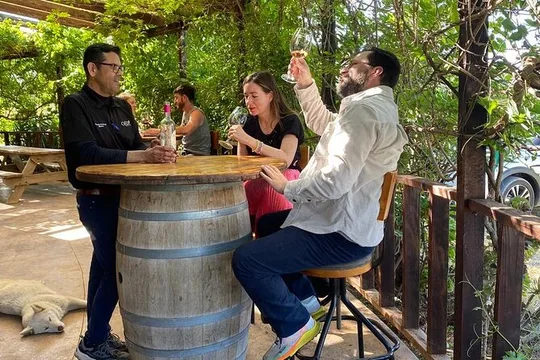 Private Tour in Guadalupe Valley, Vine Yards & Wine Route ENS MX