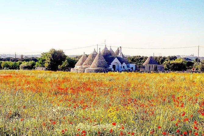 Puglia Full-Day Tour: Bari, Trulli of Alberobello, Castel del Monte and Sassi of Matera