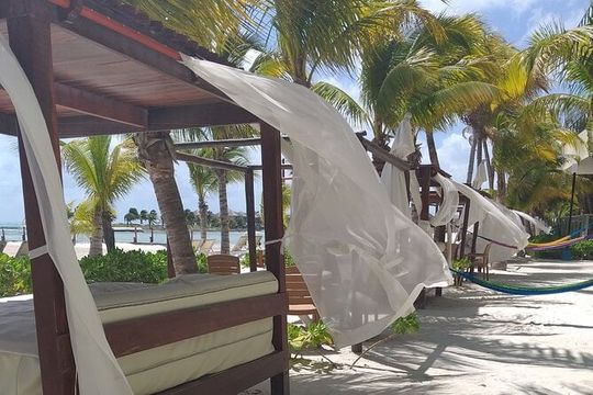 Beach Club tour with beautiful views of the Caribbean Sea. Transport included