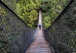 Photography & Hiking in Nature