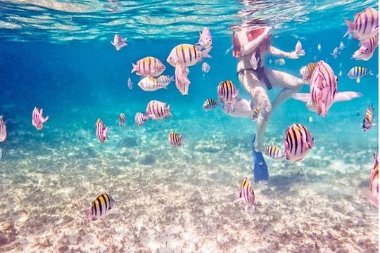 4H Luxury 44' Catamaran All-Inclusive in Tulum & Playa del Carmen