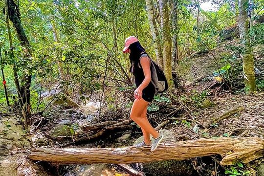 Puerto Vallarta Botanical Gardens Hiking Tour