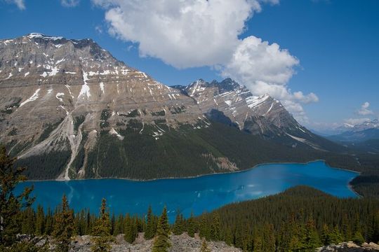 Full Day Tour-Moraine Lake, Lake Louise, Peyto Lake,...