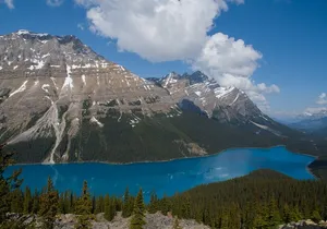 Full Day Tour-Moraine Lake, Lake Louise, Peyto Lake,...