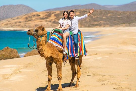 2-Hour Camel Ride Beach and Desert Adventure Experience
