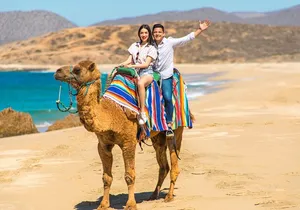 2-Hour Camel Ride Beach and Desert Adventure Experience