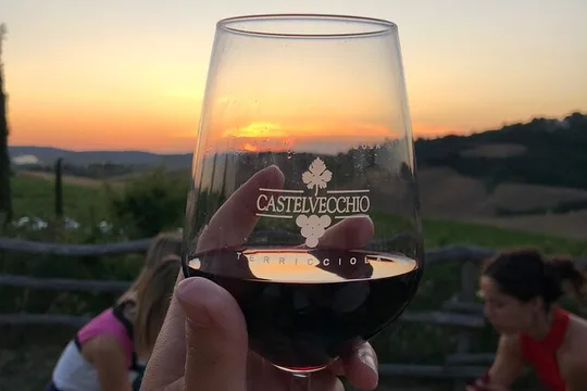 Private Tour Pisa, countryside with wine tasting
