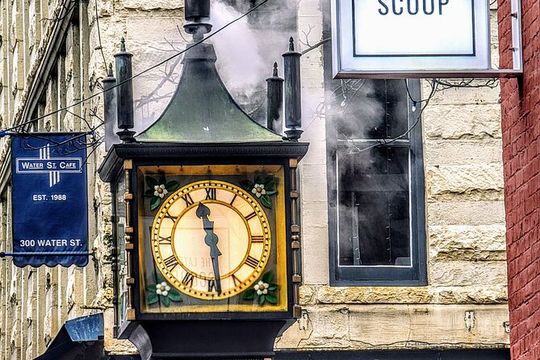 Private Vancouver ALL IN ONE Full Day City Tour with 20 Attractions