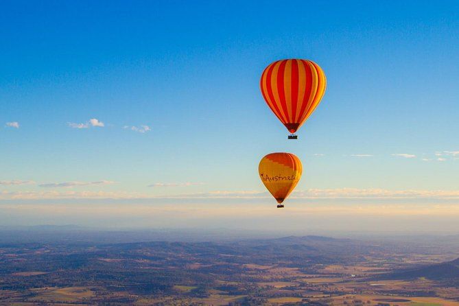 Gold Coast Hot Air Balloon + Winery Breakfast + Alpaca Experience