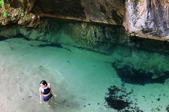 4-Hour Jungle Hike and Waterfall Swim
