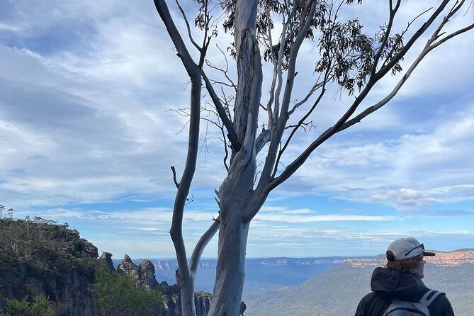 Private Blue Mountains Eco Day Tour