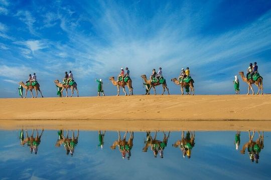 Camel Ride On The Beach at Los Cabos