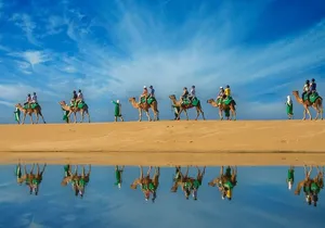 Camel Ride On The Beach at Los Cabos