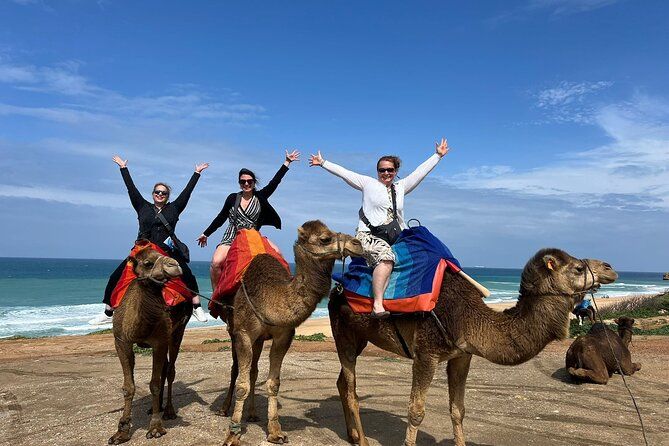 Vip Private Guided Tangier Tour From Malaga / Marbella or Tarifa
